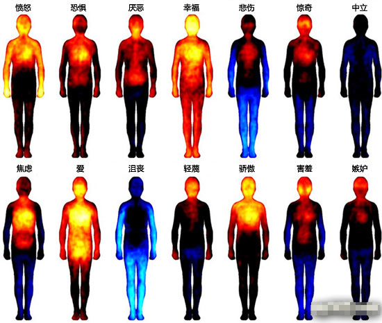 人在不同情緒下的熱像圖